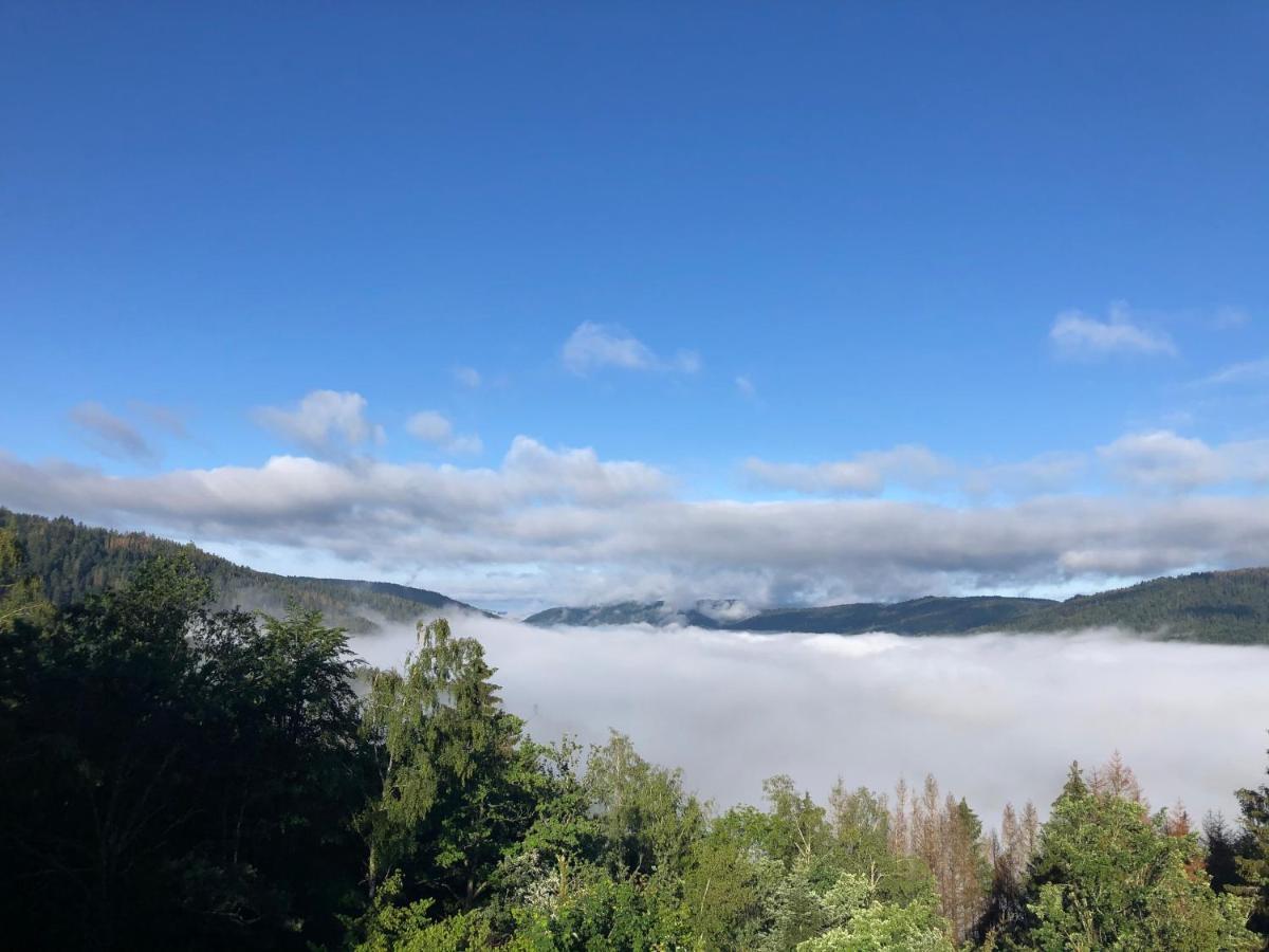 Le Gite Cozy De Bouvacote Avec Vue Panoramique Et Sauna Le Tholy Exteriör bild