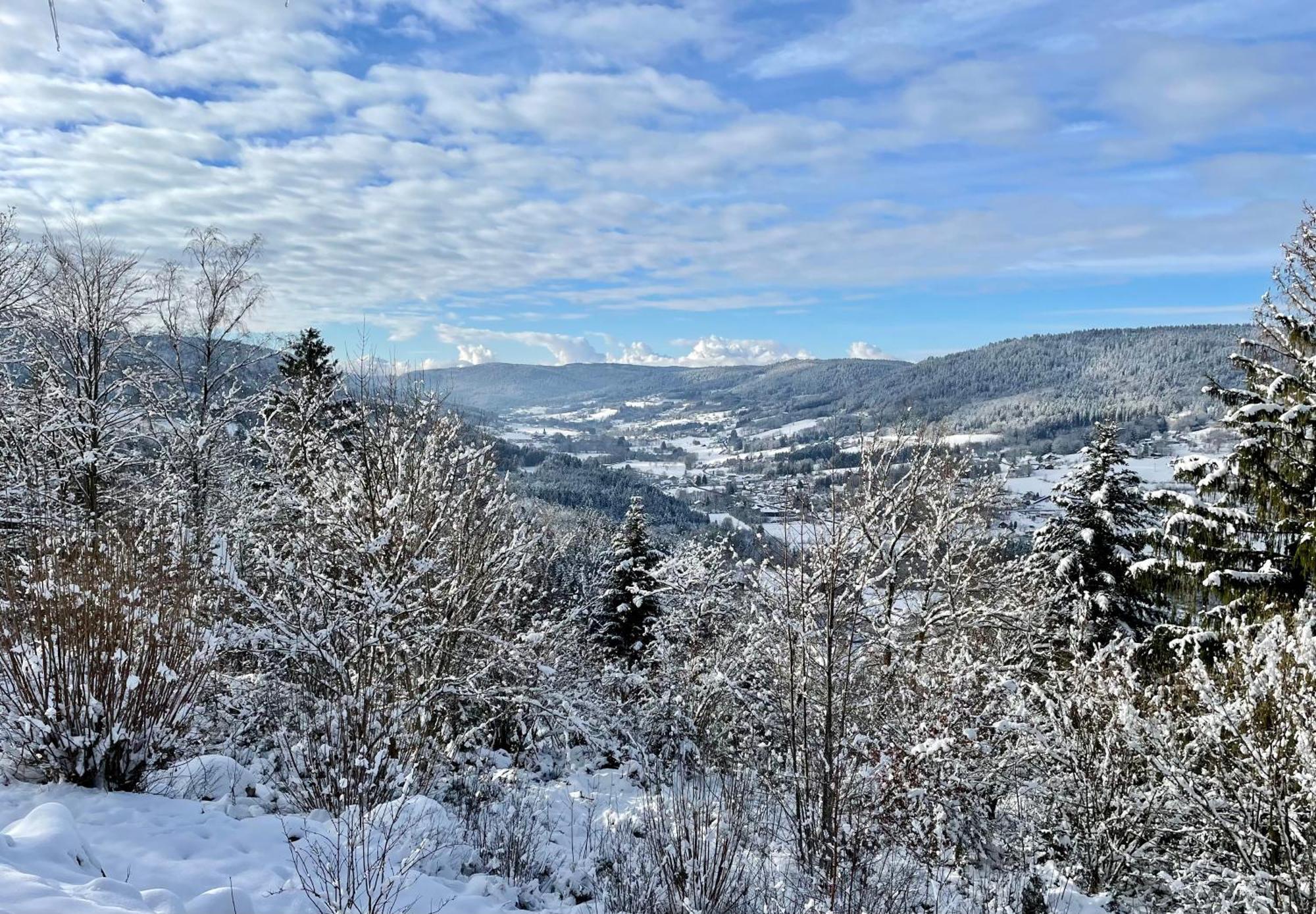 Le Gite Cozy De Bouvacote Avec Vue Panoramique Et Sauna Le Tholy Exteriör bild