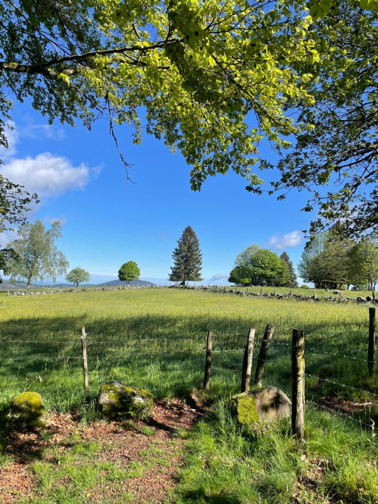 Le Gite Cozy De Bouvacote Avec Vue Panoramique Et Sauna Le Tholy Exteriör bild